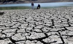 Sulak Alanlar Yok Oluyor: Küresel Ekonomide 39 Trilyon Dolarlık Kayıp Kapıda!