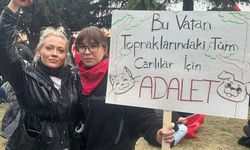 Trol Hesapların İddiaları Görevden Almaya mı Götürdü?