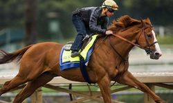 Mersin'de Akılalmaz Gıda Skandalı: Belediye Kavurmasından "Yarış Atı Çipi" Çıktı!