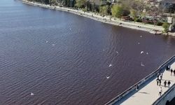 Küçükçekmece Gölü’nde kırmızı alarm: Eski yüzme günlerinden çevre felaketine...