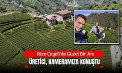 Rize Çayeli’nde Hasat Heyecanı: Celal Karaali Çayın Yolculuğunu Yerinde İnceledi