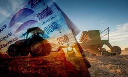 Tarımda Dev Hibe Dönemi Başladı: 30 Milyon TL’ye Kadar %70 Destek Müjdesi!