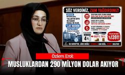 Özlem Erol : “Musluklardan 290 Milyon Dolar Akıyor”