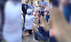 Haber Merkezimize Ulaşan İhbar: Tuzla'da 'Özel Mülk' Tartışması ve Görme Engelli Köpeğe Müdahale