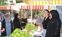 Küçükçekmeceli 30 Kadın Girişimci Şile'de Toprakla Buluştu: Tıbbi ve Aromatik Bitki Eğitimi Sahaya İndi