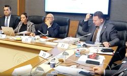 TBMM Adalet Komisyonunda Sinirler Gerildi: Ayyüce Türkeş ve MHP'li Bülbül Arasında "Pislik" ve "Çamaşır Suyu" Kavgası