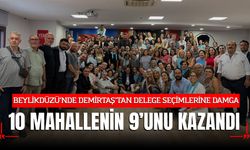 BEYLİKDÜZÜ’NDE DEMİRTAŞ’TAN DELEGE SEÇİMLERİNE DAMGA: 10 MAHALLENİN 9’UNU KAZANDI