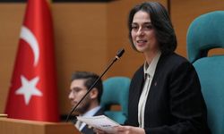Sinem Dedetaş'tan Açık Mektup: "Seçime 3 Gün Kala Yapılan Gözaltılar Apaçık Bir Planın Parçası"