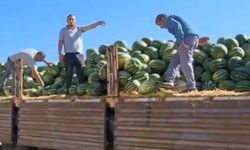 Tonlarca Karpuz Çöpe Gitti: Nakliyeciden "Mahkeme Kararı" Savunması