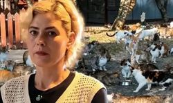 Kocaeli'de Fabrikada "Kedi Besleme" Tartışması Mahkemelik Oluyor: "Kedileri Beslediğim İçin İşten Çıkarıldım!"