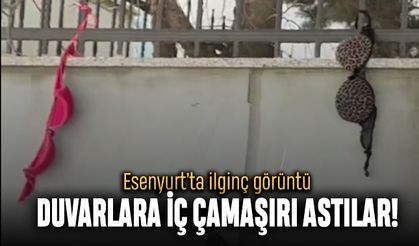 Esenyurt'ta duvarlara kadın iç çamaşırları astılar