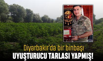 Diyarbakır’da binbaşı uyuşturucu tarlası yapmış