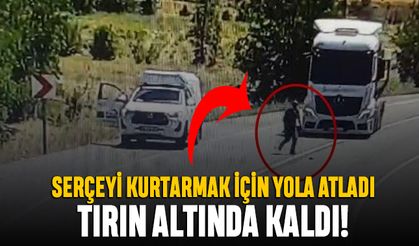 Otobanda serçeyi kurtarmak isteyen adama kamyon çarptı