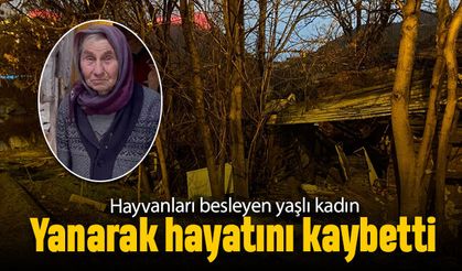 Ankara'da hayvanları besleyen yaşlı kadın yanarak hayatını kaybetti