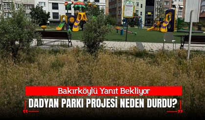 Bakırköylü Yanıt Bekliyor: Dadyan Parkı Projesi Neden Durdu?