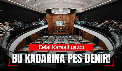 Bu kadarına pes denir!