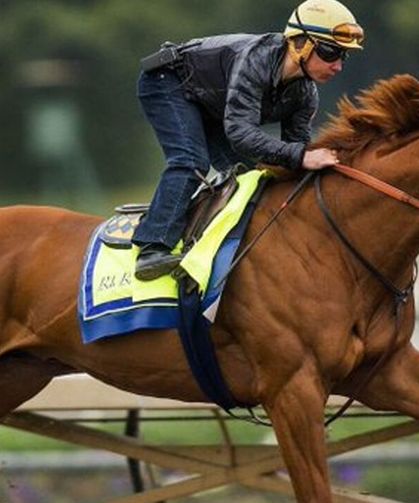 Mersin'de Akılalmaz Gıda Skandalı: Belediye Kavurmasından "Yarış Atı Çipi" Çıktı!