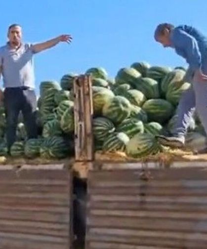 Tonlarca Karpuz Çöpe Gitti: Nakliyeciden "Mahkeme Kararı" Savunması