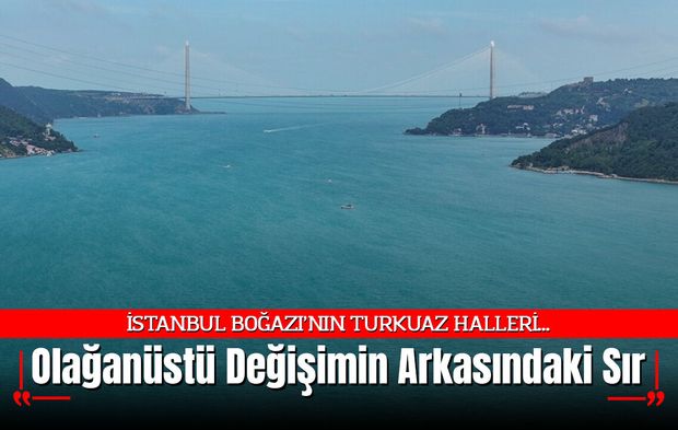İstanbul Boğazı'nın Turkuaz Halleri...