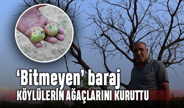 Bitirilmeyen baraj köylülerin ağaçlarını kuruttu