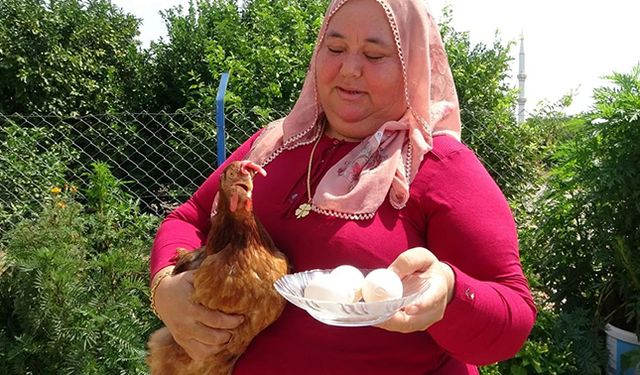 Sahibinin isminin baş harflerini yumurtaya yazan tavuk sosyal medyada