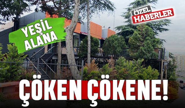 YEŞİL ALANA  ÇÖKEN ÇÖKENE