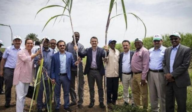 10 yıl süren Sudan'da tarım projesi iptal edildi