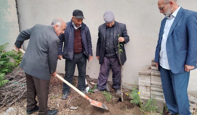 Aralık çölleşmeyecek!