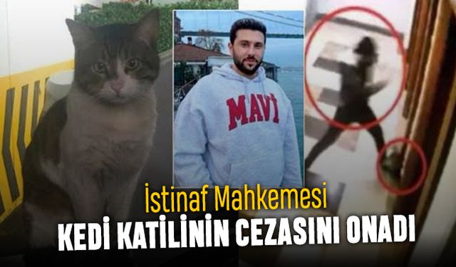 İstinaf Mahkemesi Eros kedi katili İbrahim Keloğlan'ın cezasını onadı