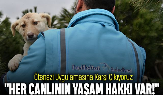 Ötenazi Uygulamasına Karşı Çıkıyoruz: "Her Canlının Yaşam Hakkı Var!"