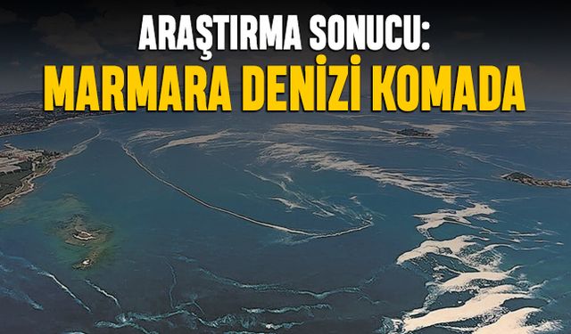 Bilim insanları: Oksijensiz kalan Marmara Denizi komada