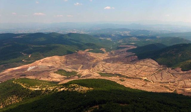 Maden sahası genişliyor; Kaz dağlarında ağaç katliamı