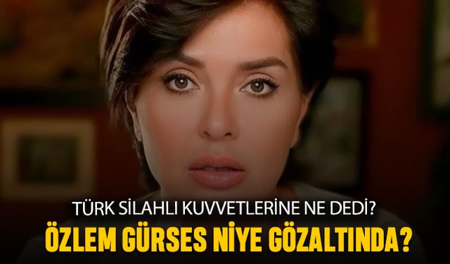 Özlem Gürses ne dedi, niye gözaltına alındı?