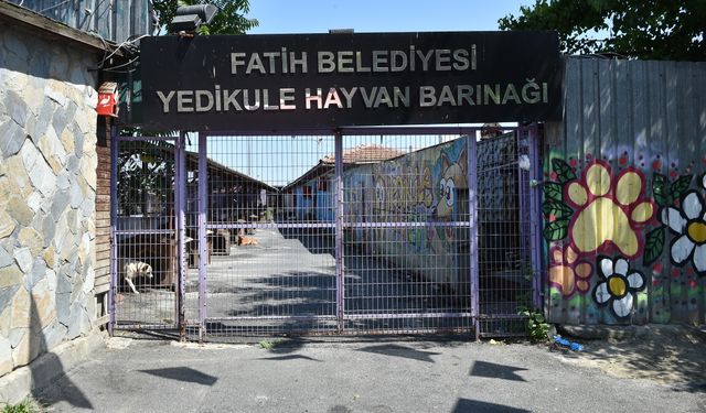 Yedikule Hayvan Barınağı yenileniyor