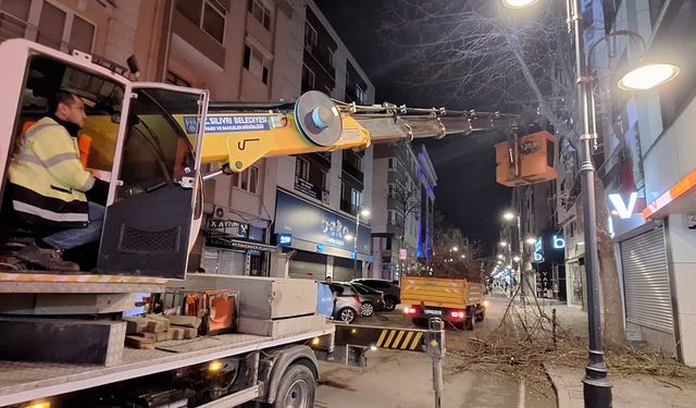 Silivri Belediyesi çevreye sahip çıkıyor