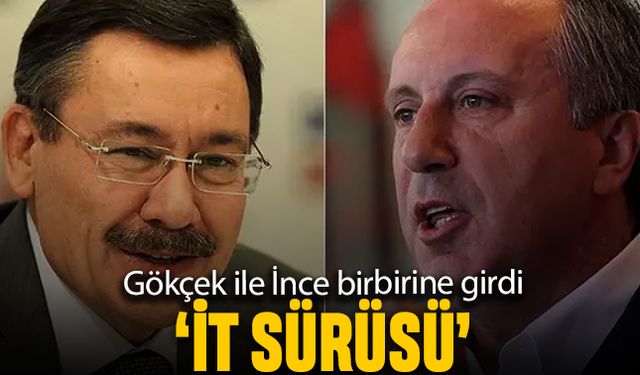 Melih Gökçek ile Muharrem İnce birbirine girdi; İt sürüsü