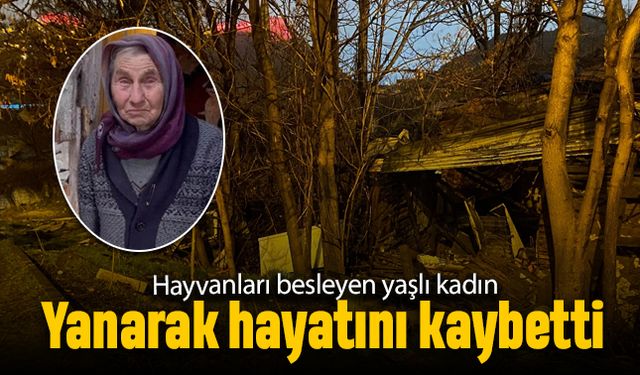 Ankara'da hayvanları besleyen yaşlı kadın yanarak hayatını kaybetti