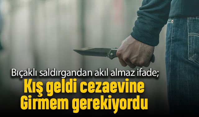 Bıçaklı saldırgandan akıl almaz ifade; Kış geldi hapse girmem lazım