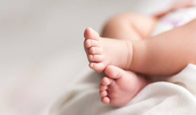 Genç kadınların yumurtalarını ABD'ye satan klinik gündemde