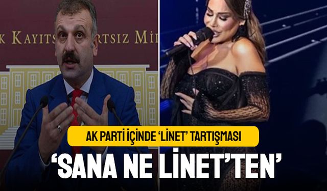 AK Parti içinde 'Linet' tartışması; 'Sana ne Linet'ten'