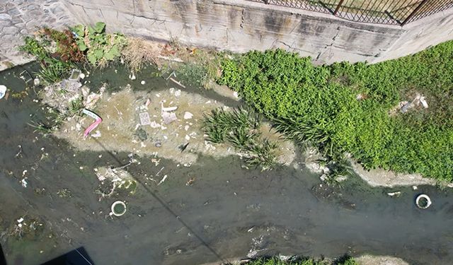 Arnavutköy’de ıslah edilmeyen dere zehir saçıyor