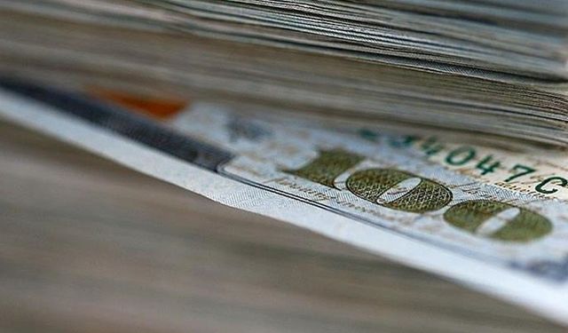 Dünyada dolar milyoneri sayısı en çok Türkiye'de arttı