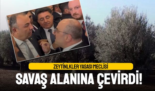 Zeytinlikler Yasası Meclisi savaş alanına çevirdi