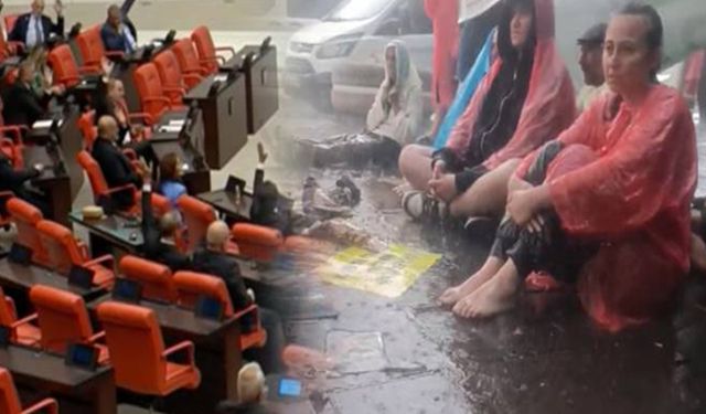 Konu zeytinlikler: AK Partili vekil, DEM Partili vekilin üstüne yürüdü