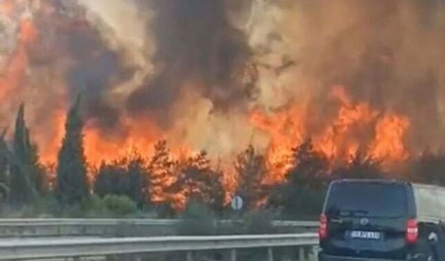 Son dakika; İzmir'de Bornova ve Buca'da yangın