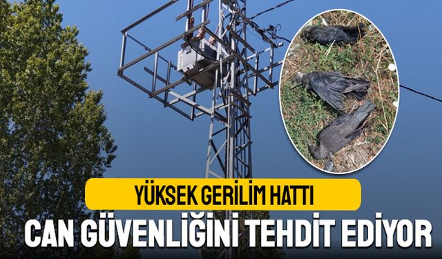Yüksek Gerilim Hattı Canları Yakıyor, Köylüler İsyanda