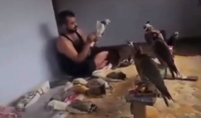 Türk Vatandaşlığı Alan Suriyeli, Doğan ve Şahinleri Kaçak Yolla Arap Ülkelerine Satmış