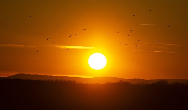 Portekiz’de İklim Felaketi: Kayıtlardaki “En Sıcak ve En Kurak” Yaz Yaşandı
