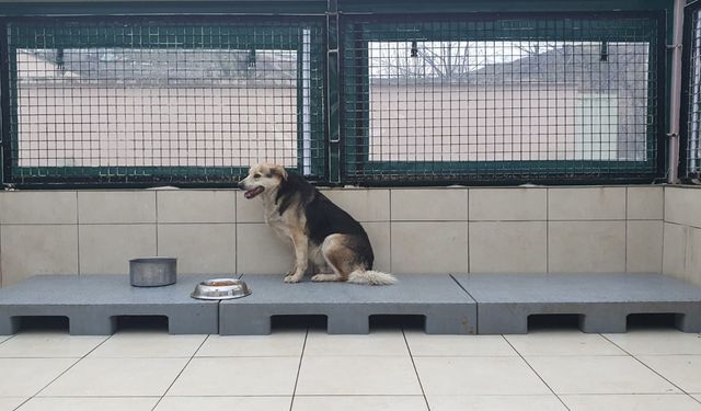 Çekmeköy Belediyesi’nden Öğrencilerle Anlamlı 4 Ekim Etkinliği