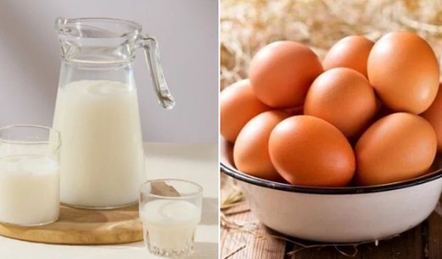 Süt ve Yumurta Üretiminde Sert Düşüş: TÜİK Verileri Endişelendiriyor